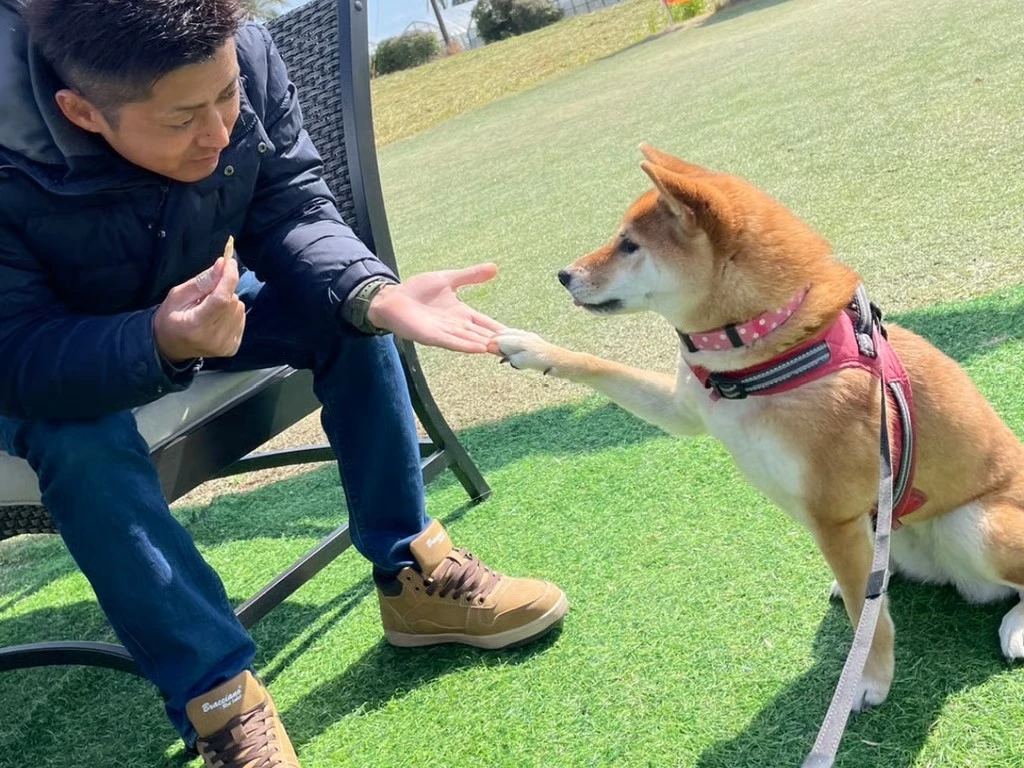 プロフィール写真